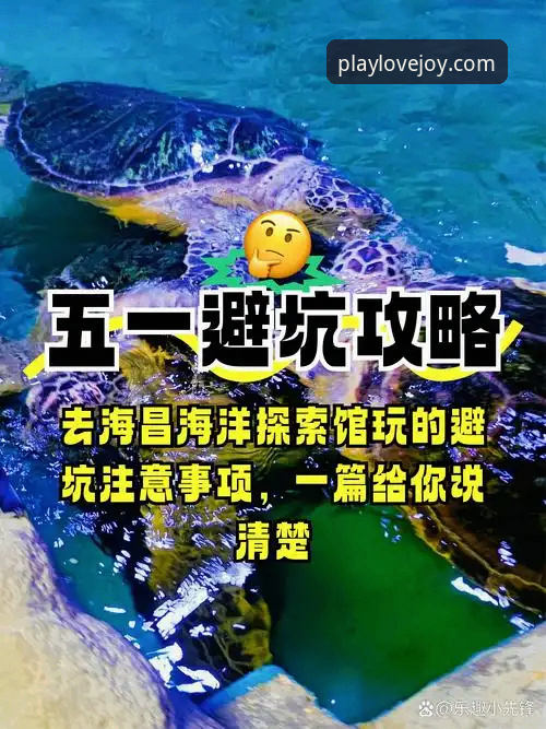 2026爱游戏app下载全面评测：实战派教你快速上手与避坑指南
